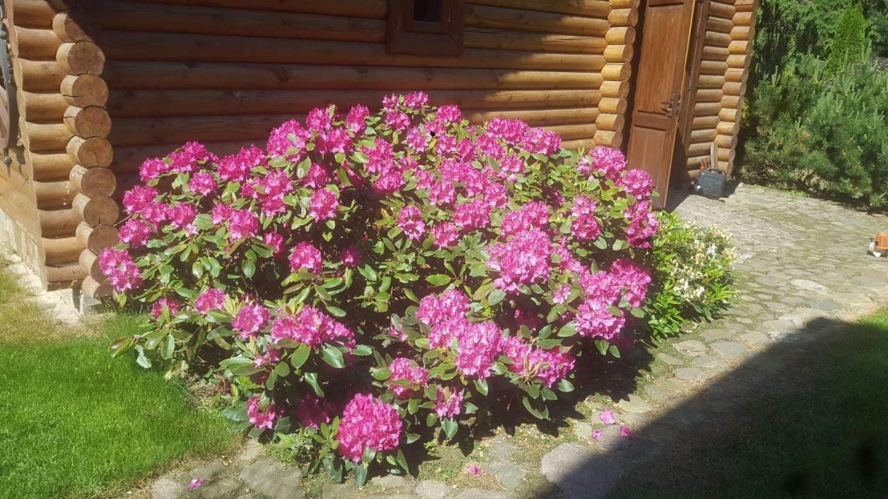 Sveciu Namelis 호텔 Šiauliai 외부 사진